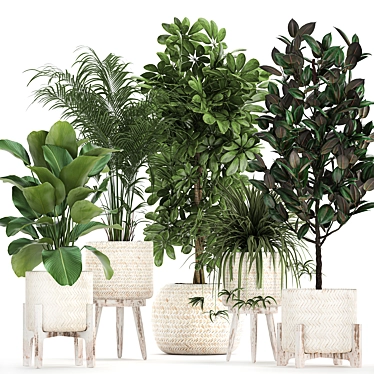 Exotic Plant Collection in Rattan Baskets 3D model image 1 