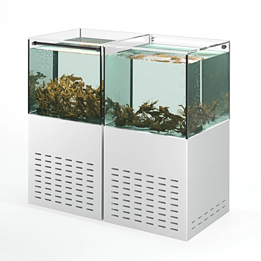 Crayfish aquarium