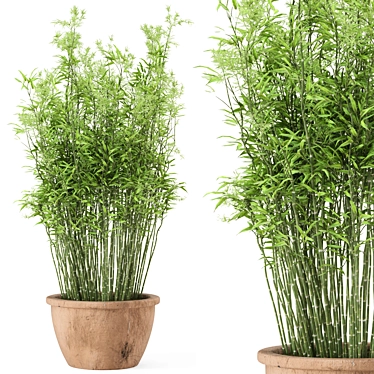 Rustic Cly Pot Set with 10 Outdoor Bamboo Plants 3D model image 1 