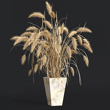 Dried Botanical Bundle 3D model image 1 