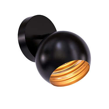 Elegant Black & Gold Wall Sconce 3D model image 1 