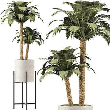 Tropical Paradise: Beach Palm Duo 3D model image 1 