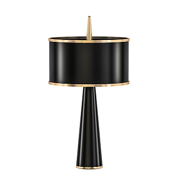 Sculptural Needle Table Lamp 3D model image 1 