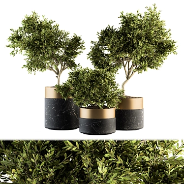 Green Oasis: Indoor Plant Set 127 3D model image 1 