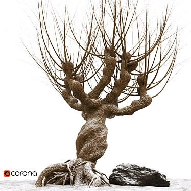 Rattlesnake Willow 3D Model 3D model image 1 