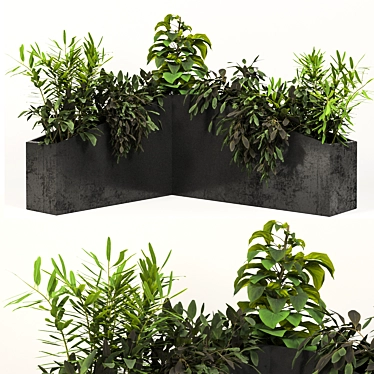 Outdoor Garden Plant Trio 3D model image 1 