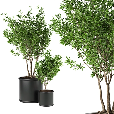 Premium Plant Collection Vol. 93 3D model image 1 