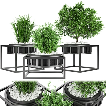 Botanical Treasures Vol. 97: Delicate & High-Quality Collection 3D model image 1 