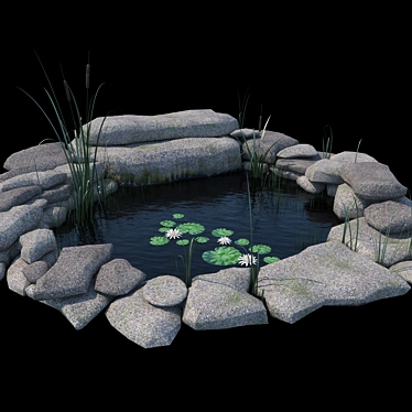 Artificial pond