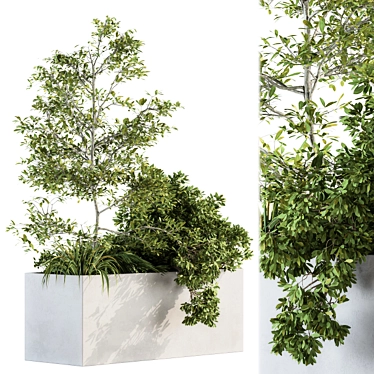 Nature's Oasis: Outdoor Plant Box Set 3D model image 1 