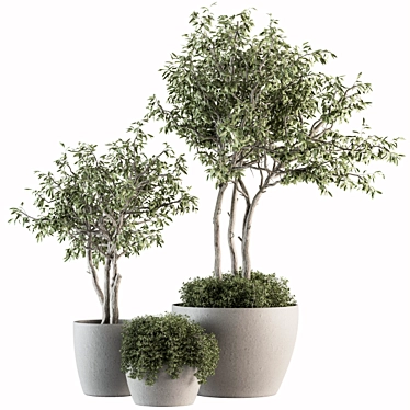 182-Piece Outdoor Plant Set: Tree in Pot 3D model image 1 