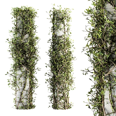 Ivy on Column Outdoor Plant Set 3D model image 1 