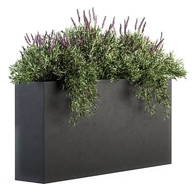 Lush Lavender Plant Box Set 3D model image 1 