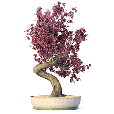 Houseplant Rustic Red