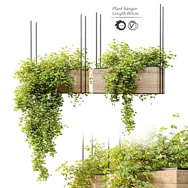 Natural Wood Hanging Plant Holder 3D model image 1 