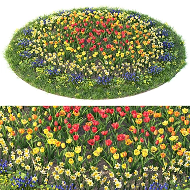 Flower Garden Paradise: Tulip, Narcissus, Muscari, Ficaria verna & Dandelion 3D model image 1 