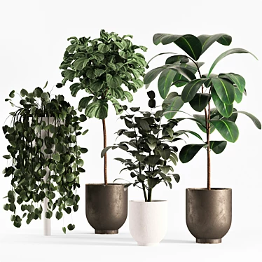 Lush Ficus Plant Collection 3D model image 1 