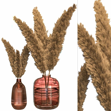 Conifer Old Copper