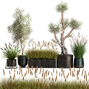 Exotic Plant Collection: Indoor & Outdoor Beauties! 3D model image 1 