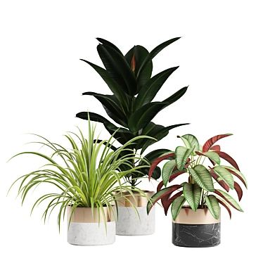 Green Oasis Indoor Plants Pack 3D model image 1 