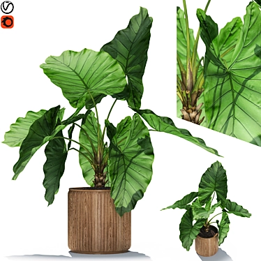 Lush Botanical Assortment 548 3D model image 1 