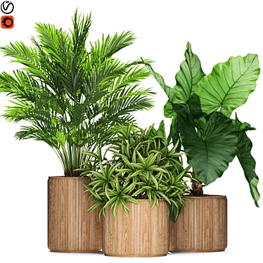 Exquisite Plants Set #549 3D model image 1 