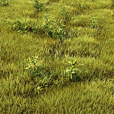 Versatile Grass Collection for Stunning Landscapes 3D model image 1 