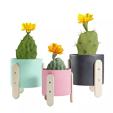 Desert Delights: Opuntia Cactus Pack 3D model image 1 