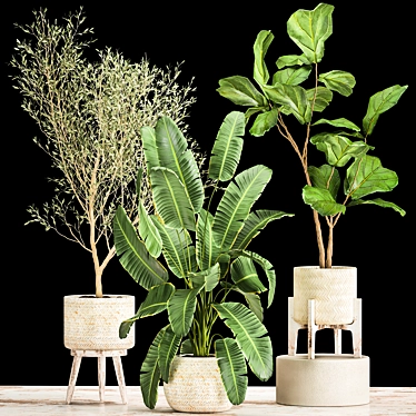 Exotic Plant Collection in Decorative White Baskets 3D model image 1 