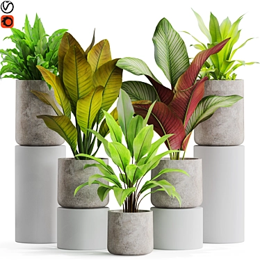 Exquisite Plant Assortment 556 3D model image 1 