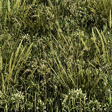 Lush Green Grass - Set 03 3D model image 1 