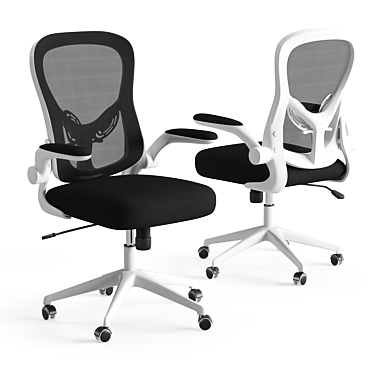 Xiaomi HBADA Double-Waisted Computer Chair 3D model image 1 