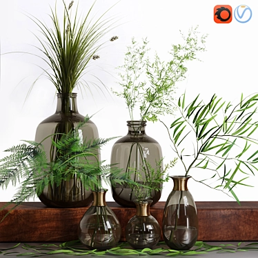 Bouquet of Indoor Grass Herb Plant Glass Vases Set