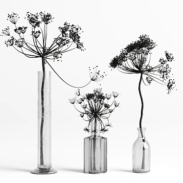 Elegant Dry Hogweed Bouquet 3D model image 1 