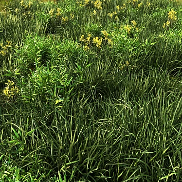 Versatile Grass Collection for Stunning Landscapes 3D model image 1 