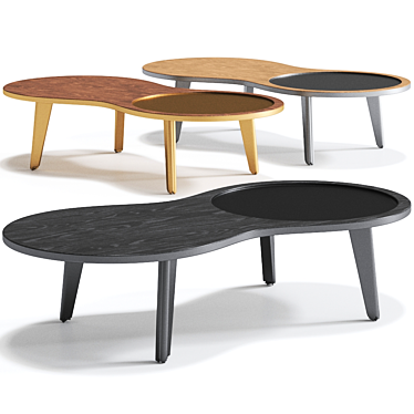 IMAGO Low Coffee Table - Sleek and Contemporary 3D model image 1 