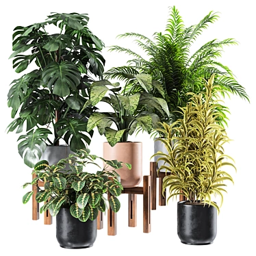 Premium Indoor Plants Set 3D model image 1 