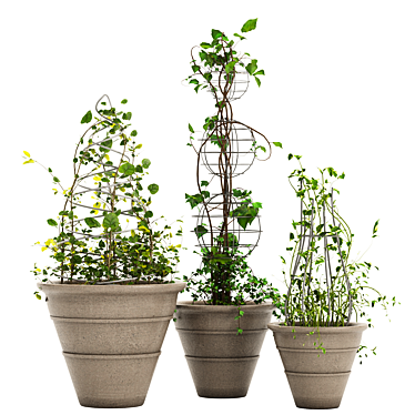 Versatile Ivy Plant Stand Set 3D model image 1 