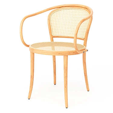 Pale Green Cane Armchair: Classic Elegance 3D model image 1 