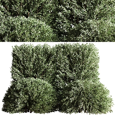 Bush02: Versatile 2015 3D Model 3D model image 1 