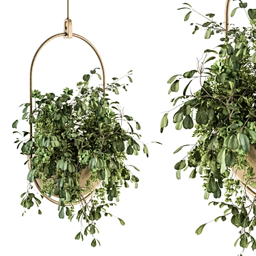 Botanical Beauties: Hanging Plant Set 3D model image 1 