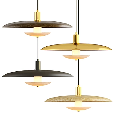 Reason Pendant Lamp: Stylish Lighting Solution 3D model image 1 