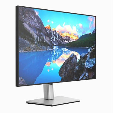 Dell UltraSharp LCD 24-inch monitor