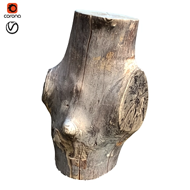 Natural Tree Trunk Sculpture 3D model image 1 