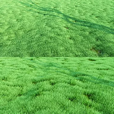 Lush Greenery: High-Quality Grass 3D model image 1 