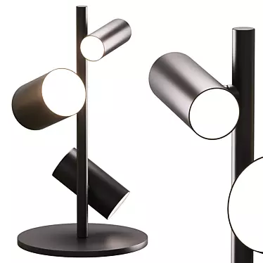 Elegant Can Can Table Lamp 3D model image 1 