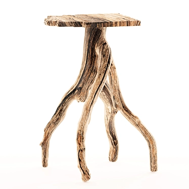 Rustic Charm Side Table 3D model image 1 