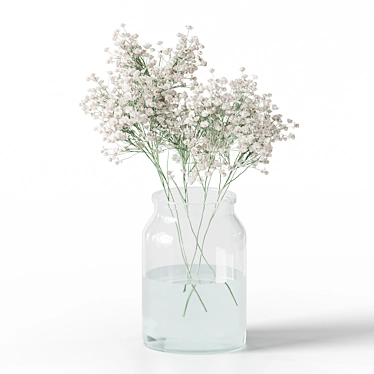 Delicate Gypsophila Jar Bouquet 3D model image 1 