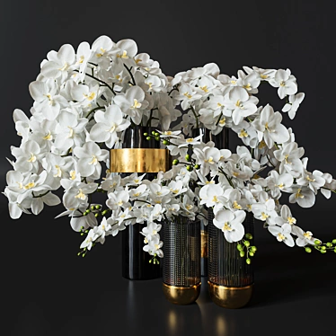 Elegant Orchid Flower & Vase Set 3D model image 1 