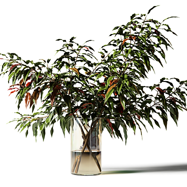 Bouquet of branches with green leaves in a glass vase